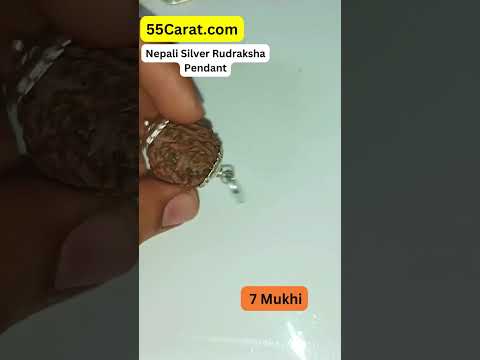 Natural 7 Mukhi Nepali Rudraksha Silver Pendant at Wholesale Rates (Rs 440/Piece)