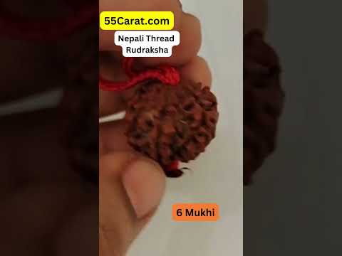 Natural 6 Mukhi Nepali Rudraksha Thread Pandant at Wholesale Rates (Rs 45/Piece)