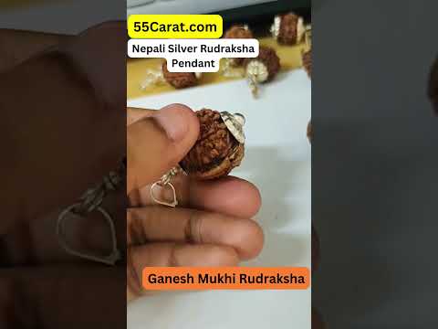Natural Shri Ganesh Nepali Rudraksha Silver Pendant at Wholesale Rates (Rs 450/Piece)