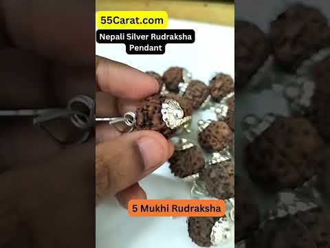 Natural 5 Mukhi Nepali Rudraksha Silver Pendant at Wholesale Rates (Rs 380/Piece)
