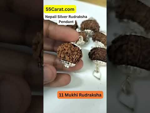 Natural 11 Mukhi Nepali Rudraksha Silver Pendant at Wholesale Rates (Rs 2300/Piece)