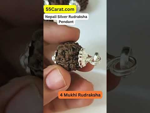 Natural 4 Mukhi Nepali Rudraksha Silver Pendant at Wholesale Rates (Rs 380/Piece)