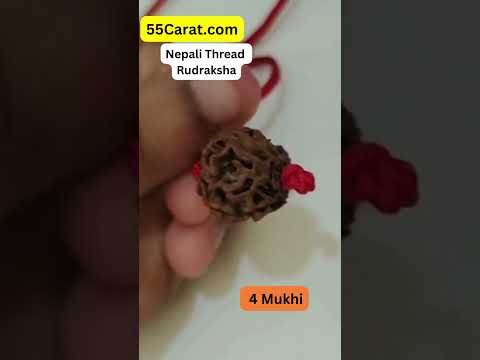 Natural 4 Mukhi Nepali Rudraksha Thread at Wholesale Rates (Rs 45/Piece)