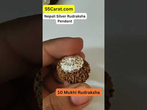 Natural 10 Mukhi Nepali Rudraksha Silver Pendant at Wholesale Rates (Rs 2250/Piece)
