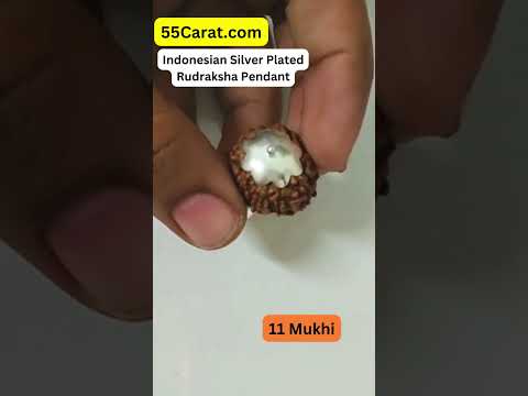 Natural 11 Mukhi Indonesia Rudraksha Silver Plated Pendant at Wholesale Rates (Rs 325/Piece)