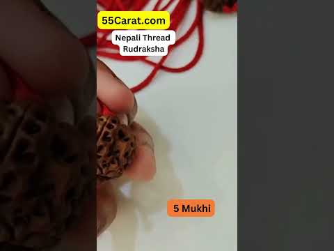 Natural 5 Mukhi Nepali Rudraksha Thread Pandant at Wholesale Rates (Rs 45/Piece)