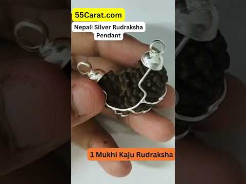 Natural 1 Mukhi Nepali Kaju Rudraksha Silver Pendant at Wholesale Rates (Rs 1100/Piece)