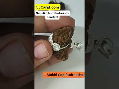 Natural 1 Mukhi Nepali Rudraksha Silver Pendant at Wholesale Rates (Rs 1100/Piece)