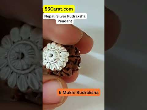 Natural 6 Mukhi Nepali Rudraksha Silver Pendant at Wholesale Rates (Rs 380/Piece)