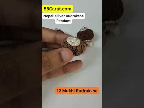 Natural 12 Mukhi Nepali Rudraksha Silver Pendant at Wholesale Rates (Rs 2750/Piece)