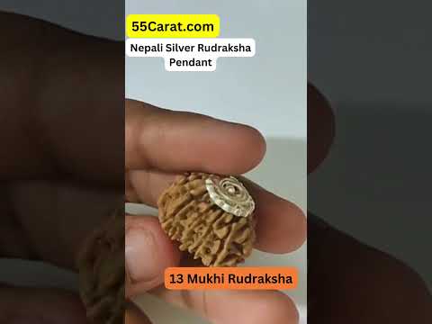 Natural 13 Mukhi Nepali Rudraksha Silver Pendant at Wholesale Rates (Rs 4850/Piece)