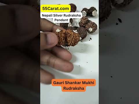 Natural Gauri Shankar Nepali Rudraksha Silver Pendant at Wholesale Rates (Rs 2750/Piece)