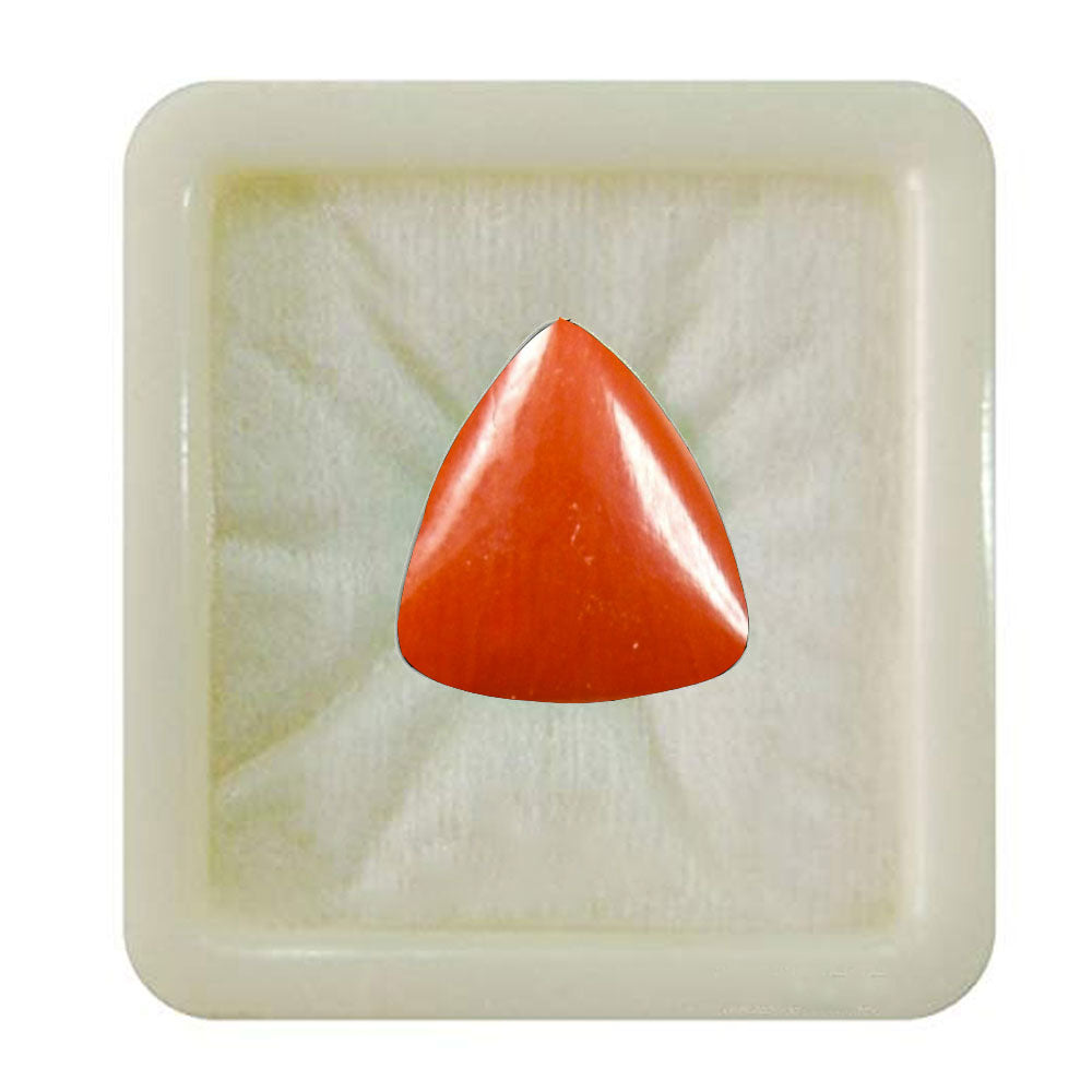 Buy Natural Coral(Moonga) at Wholesale Rates Gemstone To