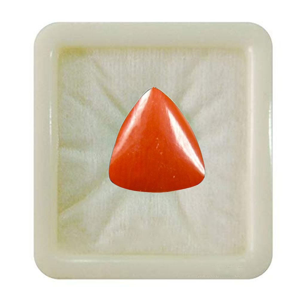 Natural Coral(Moonga) Gemstone 2.25 To 10.25 Ratti Rashi Ratan Astrology Mesh and Vrischik Rashi ( Aries and Scorpio) Birthstone Jewelry Making at Wholesale Rates