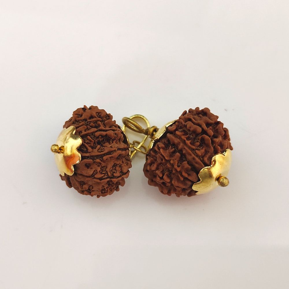 Natural 13 Mukhi Nepali Rudraksha Gold Plated Pendant at Wholesale Rates (Rs 4520/Piece)