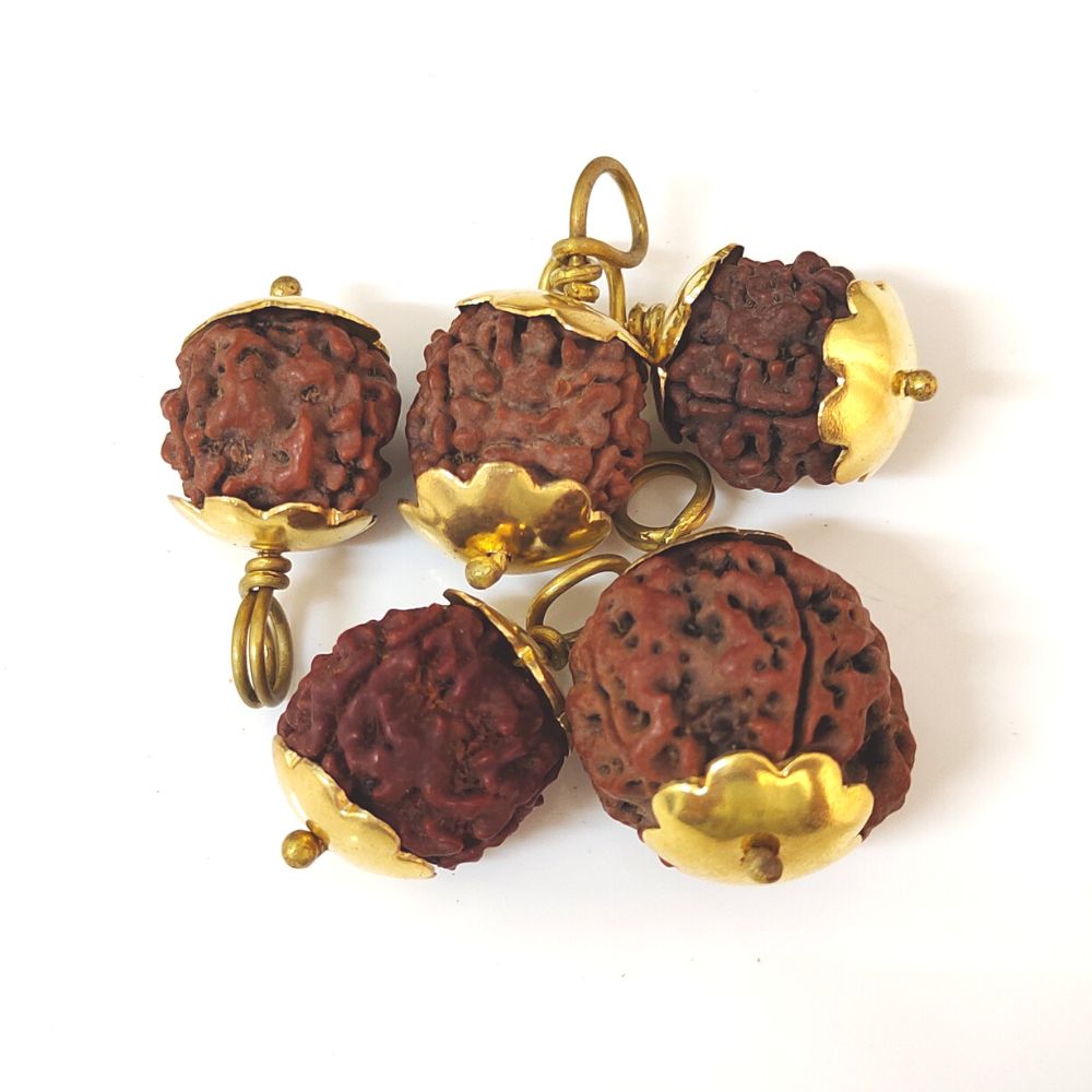 Natural 4 Mukhi Nepali Rudraksha Gold Plated Pendant at Wholesale Rates (Rs 50/Piece)