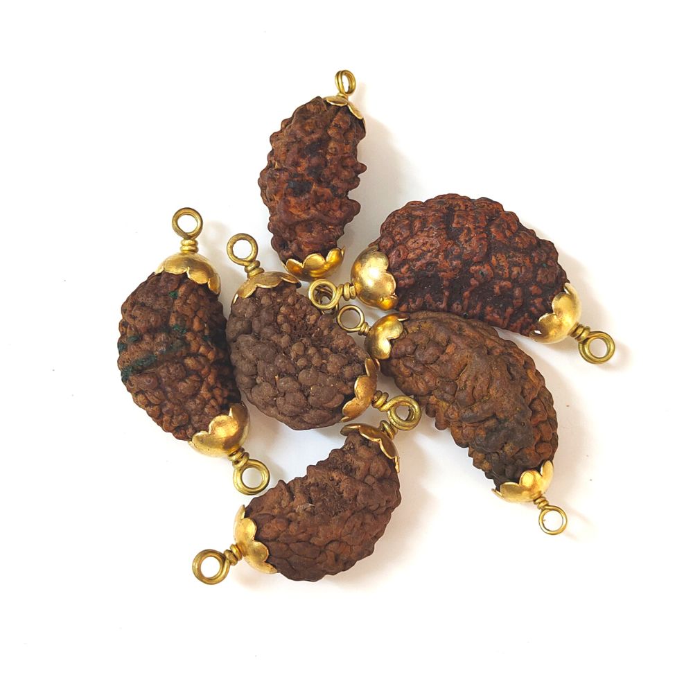 Natural 1 Mukhi Nepali Rudraksha Gold Plated Pendant at Wholesale Rates (Rs 770/Piece)