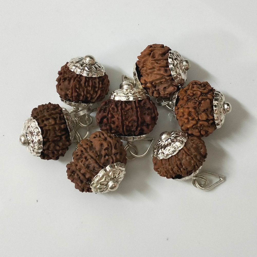 Natural 11 Mukhi Nepali Rudraksha Silver Plated Pendant at Wholesale Rates (Rs 1975/Piece)