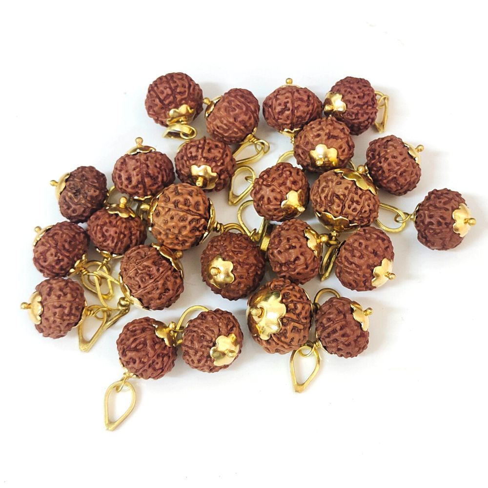 Natural 9 Mukhi Indonesia Rudraksha Gold Plated Pendant at Wholesale Rates (Rs 270/Piece)