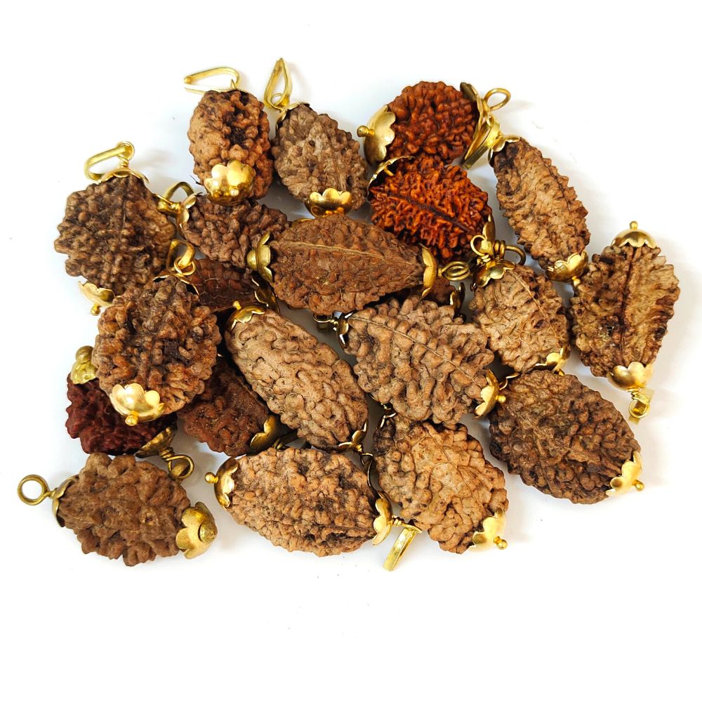 Natural 2 Mukhi Nepali Rudraksha Gold Plated Pendant at Wholesale Rates (Rs 50/Piece)