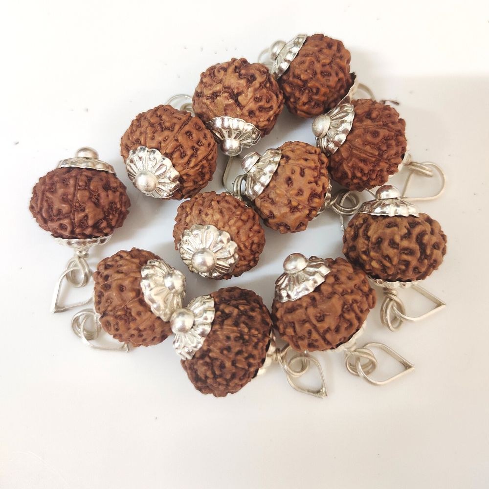 Natural 10 Mukhi Indonesia Rudraksha Silver Plated Pendant at Wholesale Rates (Rs 325/Piece)