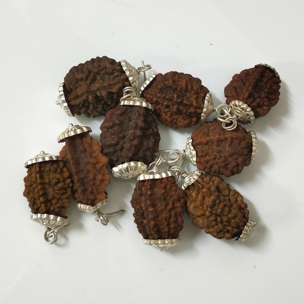 Natural 2 Mukhi Nepali Rudraksha Silver Plated Pendant at Wholesale Rates (Rs 55/Piece)