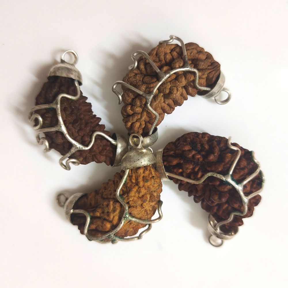 Natural 1 Mukhi Nepali Kaju Rudraksha Silver Pendant at Wholesale Rates (Rs 1100/Piece)