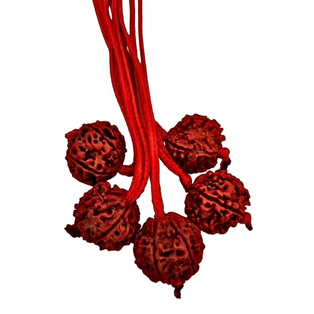 Natural 11 Mukhi Nepali Rudraksha Thread Pandant at Wholesale Rates (Rs 1965/Piece)