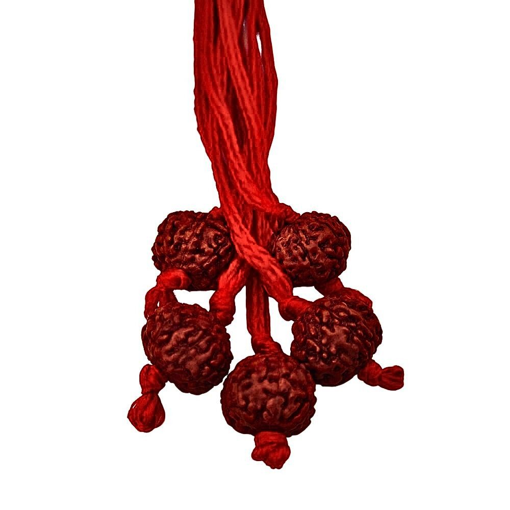 Natural 7 Mukhi Indonesia Rudraksha Thread Pandant at Wholesale Rates (Rs 80/Piece)