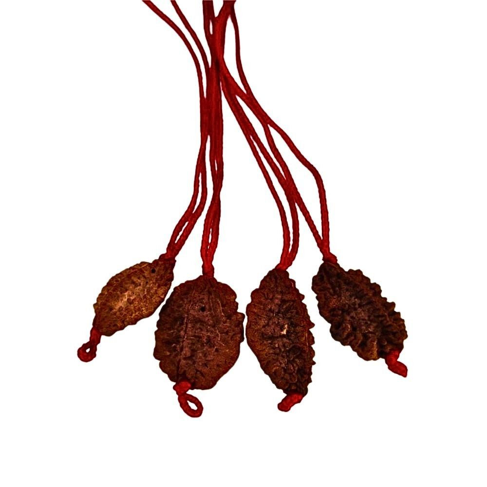 Natural 2 Mukhi Nepali Rudraksha Thread Pandent at Wholesale Rates (Rs 45/Piece)