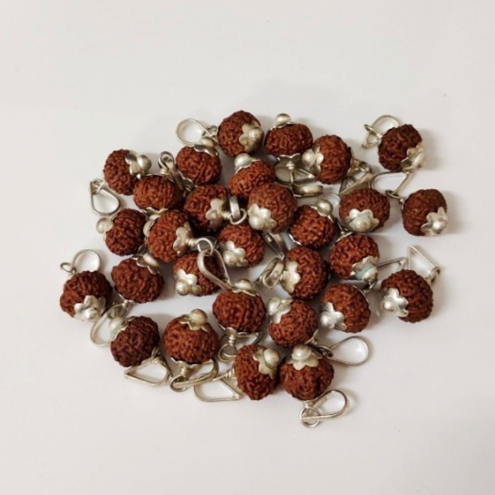 Natural 11 Mukhi Indonesia Rudraksha Silver Plated Pendant at Wholesale Rates (Rs 325/Piece)