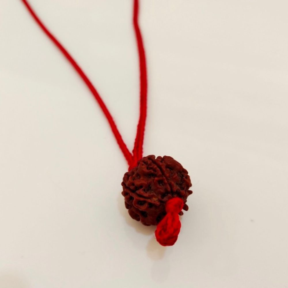 Thread Rudraksh Buy Natural 5 Mukhi at Wholesale Rates (Rs 45/Piece) Nepali Rudraksha ...