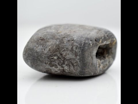 Gandaki River Govinda Shaligram Fossil For Worship Small Size (Max: 5 CM)