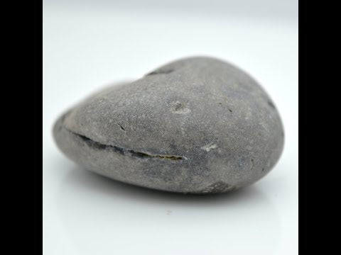 Original Garuda Shaligram Shilla Stone For Pooja Small Size (Max: 5 CM)
