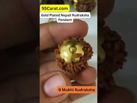 Natural 9 Mukhi Nepali Rudraksha Gold Plated Pendant at Wholesale Rates (Rs 1470/Piece)