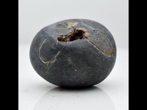 Nepal Gandaki Vaasudev Shaligram Shilla Stone For Pooja Small Size (Max: 5 CM)