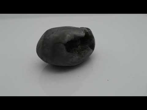 Nepal Gandaki Vaasudev Shaligram Shilla Stone For Pooja Small Size (Max: 5 CM)