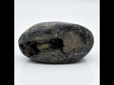 Original Madhav Shaligram Fossil For Worship Small Size (Max: 5 CM)