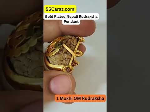 Natural 1 Mukhi Nepali Om Rudraksha Gold Plated Pendant at Wholesale Rates (Rs 770/Piece)