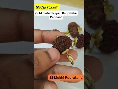 Natural 12 Mukhi Nepali Rudraksha Gold Plated Pendant at Wholesale Rates (Rs 2420/Piece)