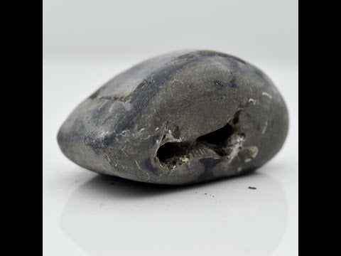 Gandaki River Narsingha Shaligram Vishnu Idol god ji shila For Tulsi Puja Small Size (Max: 5 CM)