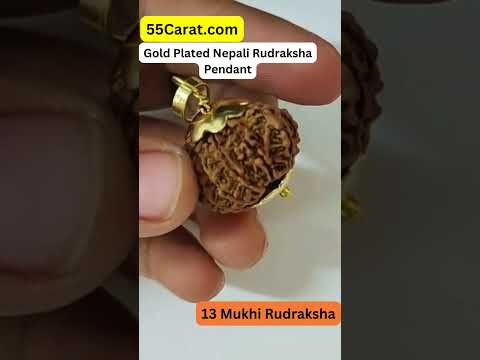 Natural 13 Mukhi Nepali Rudraksha Gold Plated Pendant at Wholesale Rates (Rs 4520/Piece)