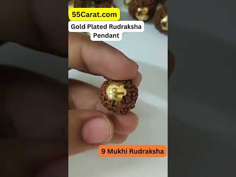 Natural 9 Mukhi Indonesia Rudraksha Gold Plated Pendant at Wholesale Rates (Rs 270/Piece)