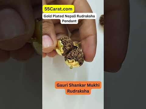 Natural Gauri Shankar Nepali Rudraksha Gold Plated Pendant at Wholesale Rates (Rs 2420/Piece)