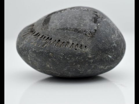 Original Keshav Shaligram Vishnu Idol For Pooja Small Size (Max: 5 CM)