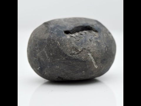 Original Aananta Shaligram Vishnu Shila river nepal For Worship Small Size (Max: 5 CM)