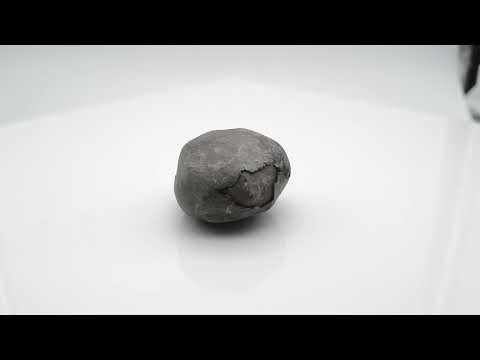 Genuine Madhusudan Shaligram Fossil For Worship Small Size (Max: 5 CM)