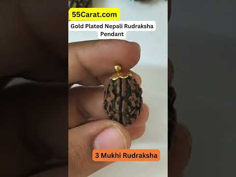 Natural 3 Mukhi Rishikesh Rudraksha Gold Plated Pendant at Wholesale Rates (Rs 50/Piece)