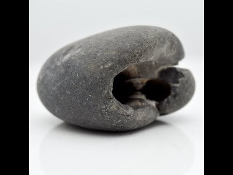Genuine Harihar Shaligram Fossil saligram For Pooja Small Size (Max: 5 CM)