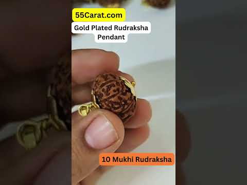 Natural 10 Mukhi Indonesia Rudraksha Gold Plated Pendant at Wholesale Rates (Rs 320/Piece)
